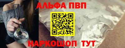 СК Кингисепп