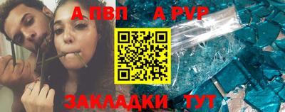 СК Кингисепп