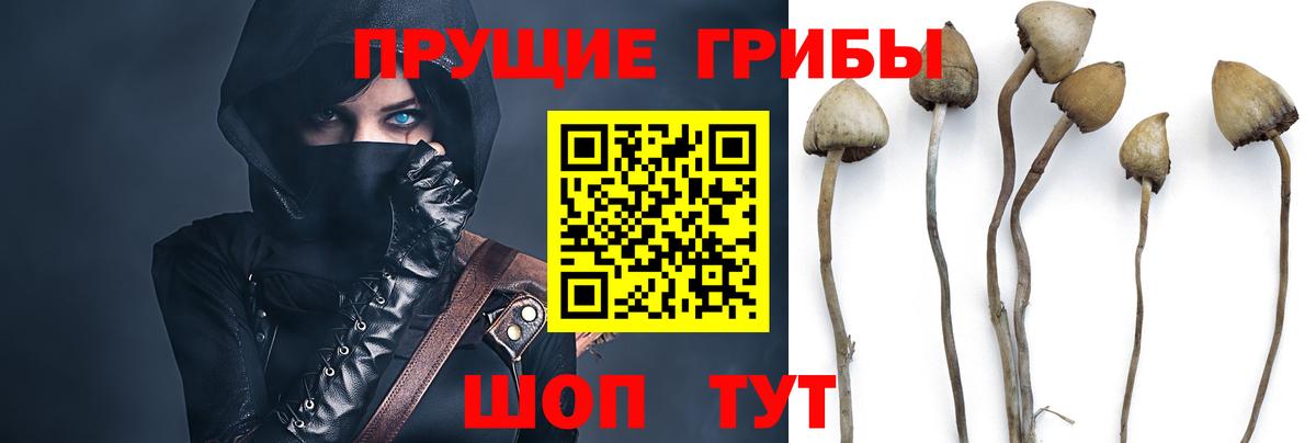 Псилоцибиновые грибы ЛСД Ирбит